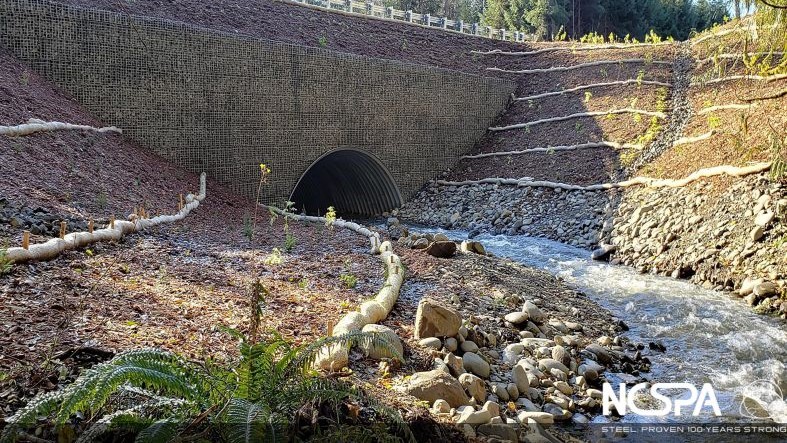 Buried Bridge NCSPA Award Winner