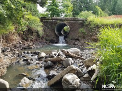 buried bridge falcon ridge idaho