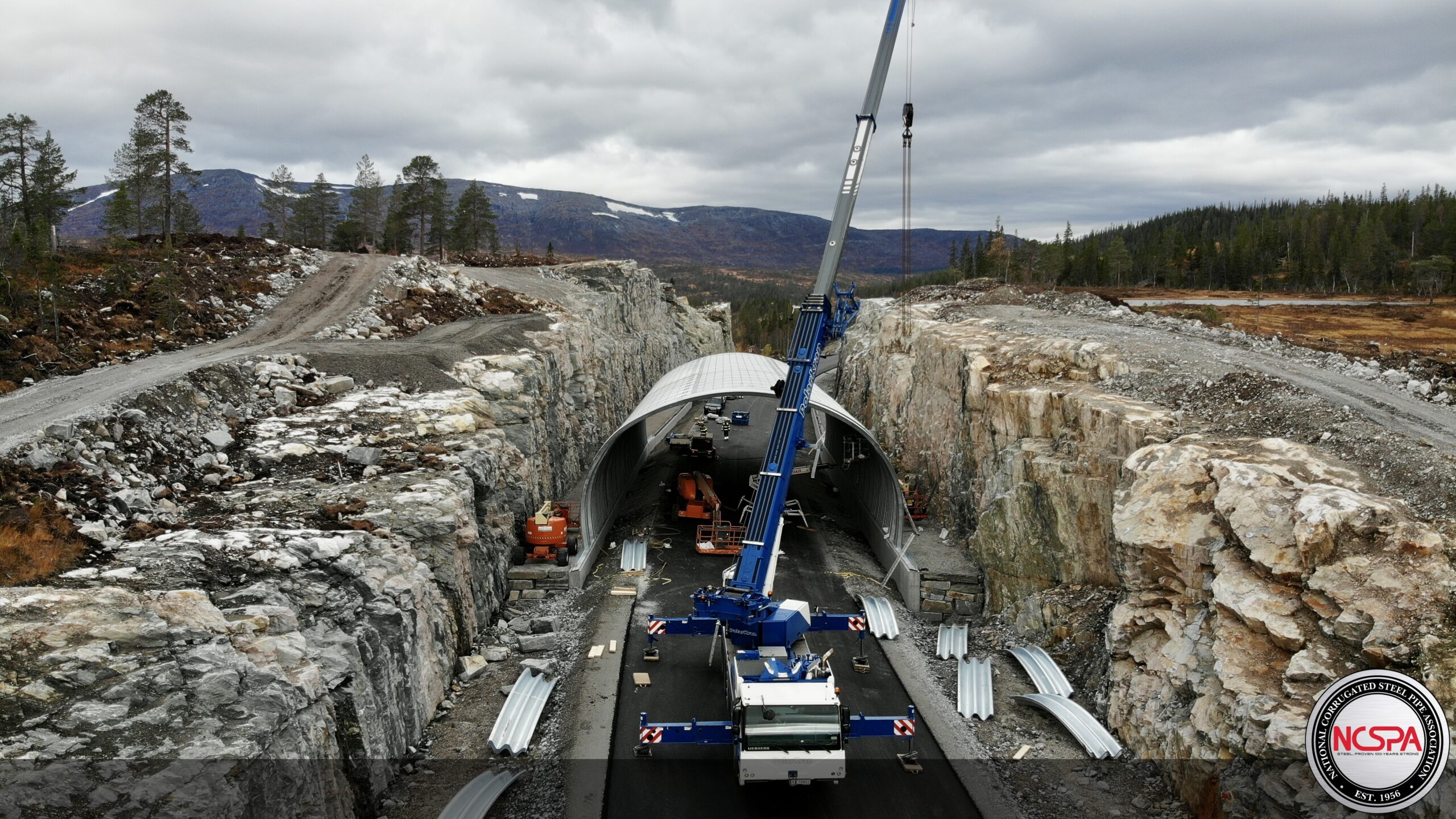 Sefrivatn Reindeer crossing – Norway