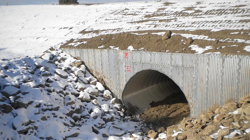Buried Steel Bridge Mike's Creek