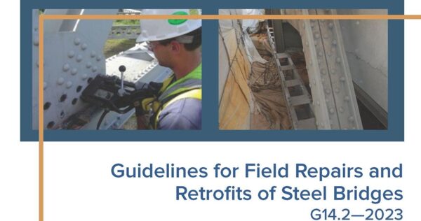 Guidelines for Repair and Retrofits