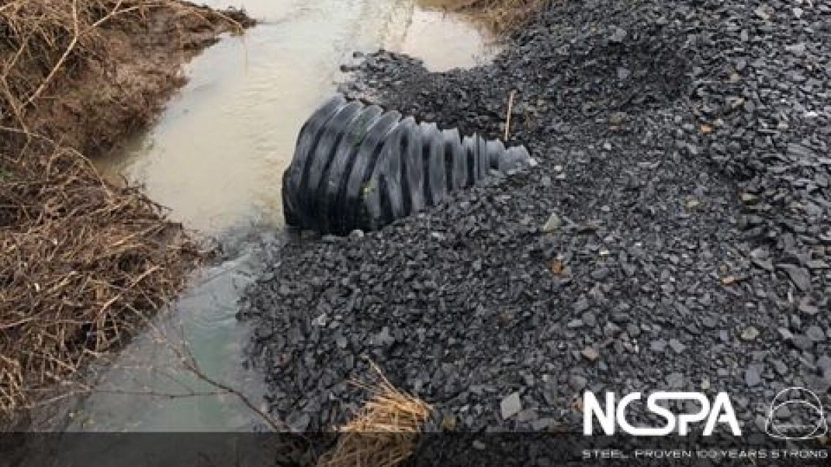 NCSPA Image 1