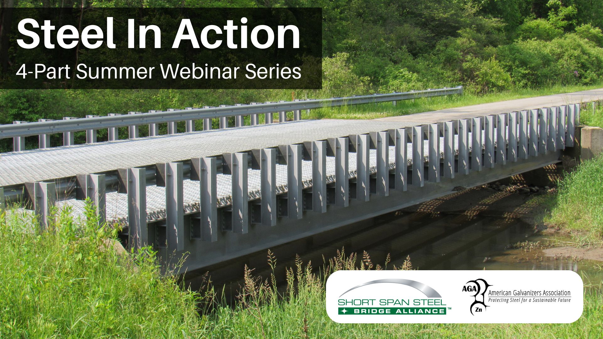Steel in Action Webinar Series